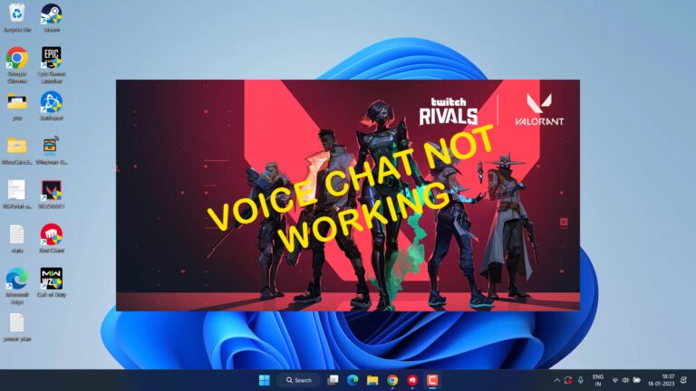 Valorant voice chat not working